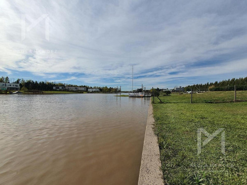 Imagen 5 de 9 de Terreno - Lote Al Rio - Venta - 1200mts - San Juan - Villanueva -tigre