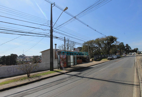 Imagem 6 de 8 de Terreno À Venda, 651 M² - Mercês - Curitiba/pr - Te0212