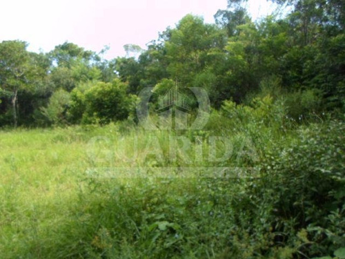 Imagem 1 de 8 de Sitio - Lami - Ref: 149462 - V-149462
