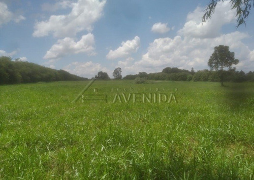 Imagem 7 de 15 de Area - Area Rural De Cambe - Ref: 10356 - V-10356