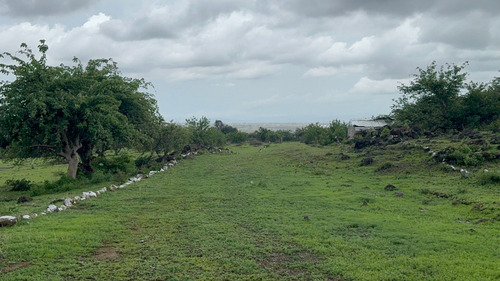 Terrenos Rusticos. A 20 Minutos De Oaxtepec.