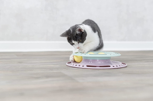 Imagen 7 de 7 de Juguetes Interactivo Gatos Pelotas Diversion Circuito