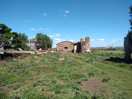 Imagen 7 de 30 de Latorre Prop Vende Campo De 34 Hectareas En Cobo