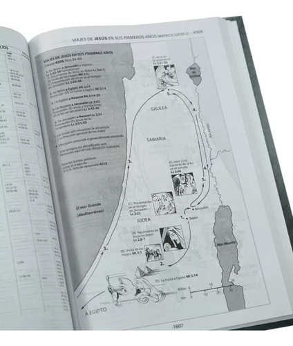 Biblia De Referencia Thompson Rvr 1960 Tapa Dura