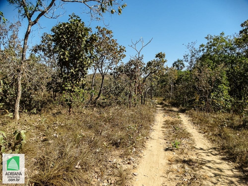 Venda Chacaras Lazer Com Acesso Ao Rio Verdinho Paisagem Paradisíaca - 5006