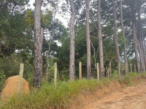 Imagem 10 de 14 de Terreno, Centro, Pirapora Do Bom Jesus - R$ 1.200.000,00, 430m² - Codigo: 234967 - V234967