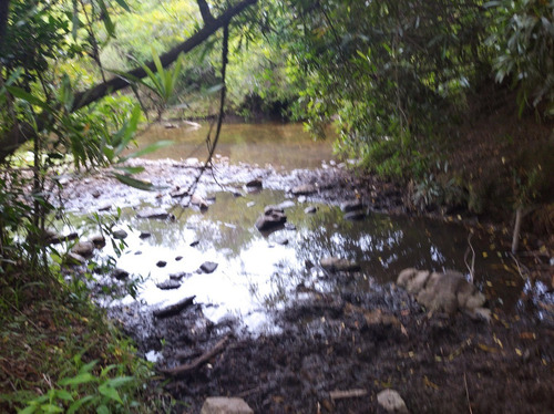 Campo De 13 Hectáreas Con Arroyo