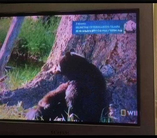 Imagen 5 de 6 de Televisor Samsung 21 Pulgada Sin Control Ni Antena Operativo