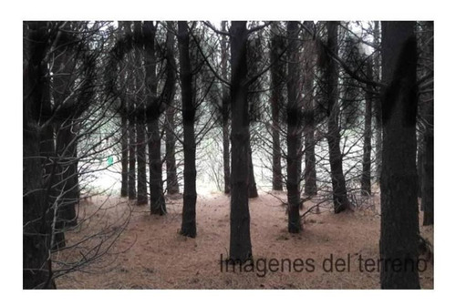 Imagen 14 de 14 de Lote De 1500 M2 Con Fondo Al Campo De Golf