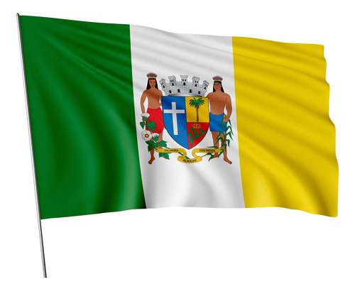 Bandeira Cidade Palmeira Dos Índios 1x1,45m