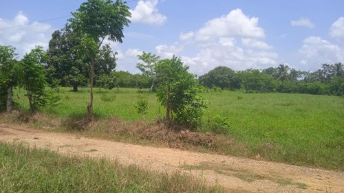 Vendo Esta Finca De 135 Tareas En Santo Domingo Norte