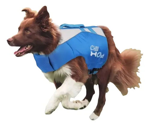 comprar Chaleco Salvavidas Para Perros Pileta Playa Verano L