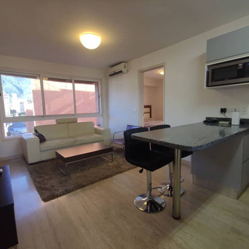 Apartamento Tipo Estudio En Alquiler Amoblado En El Rosal