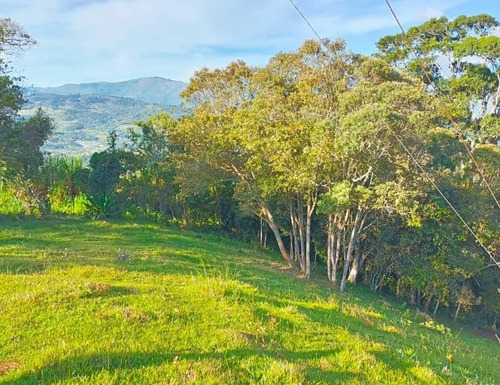 Em. Casa De Campo Vía Casa Padre En Monte Carmelo 19.900$