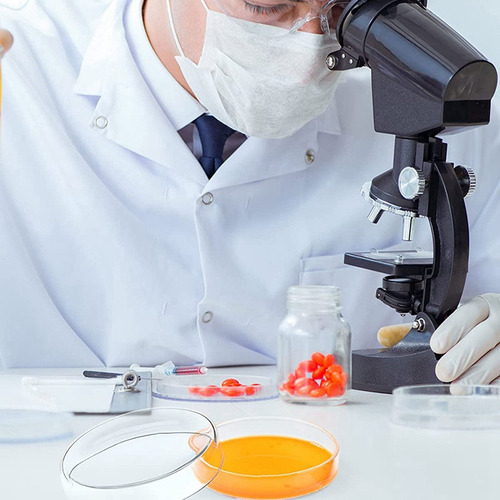 Juego De Placas De Petri De Vidrio, Placas De Laboratorio De