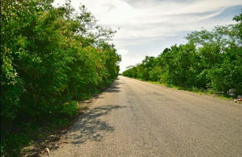 Terreno En Pueblo San Ignacio