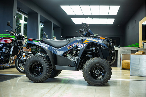 Kawasaki Brute Force 300 0km 2025 Cuatriciclo Lidermoto