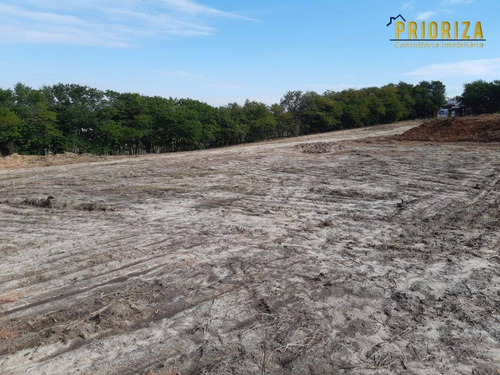 Imagem 5 de 13 de Área À Venda, 98545 M² Por R$ 12.000.000,00 - Éden - Sorocaba/sp - Ar0008