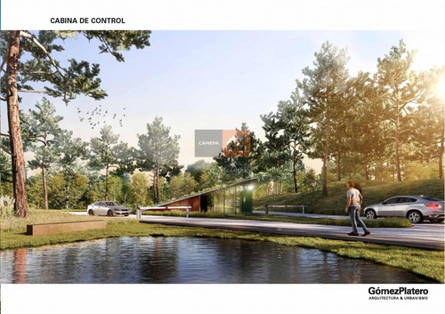 Imagen 9 de 30 de Bosques De Mar Un Lugar Donde El Paisaje Natural Se Convierte En Protagonista.