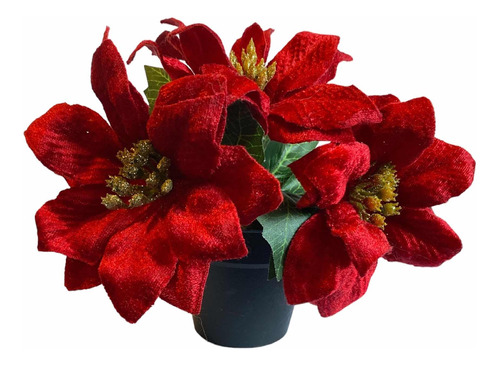 Flores Rojas Arreglo Navideño Macetero Decoración Navidad