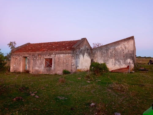 Campo - Tapera - 30 Has Lavalleja