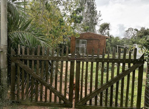 Cabaña En Pinar Norte Sobre Interbalnearia. Se Alquila