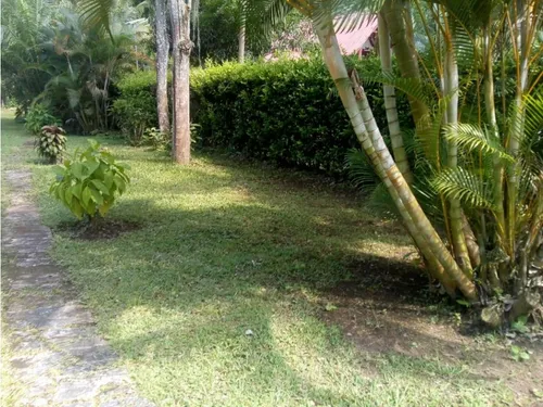 Venta De Lote En Combia, Risaralda | Lotes En Venta