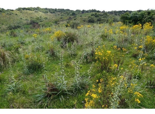Campo En Venta