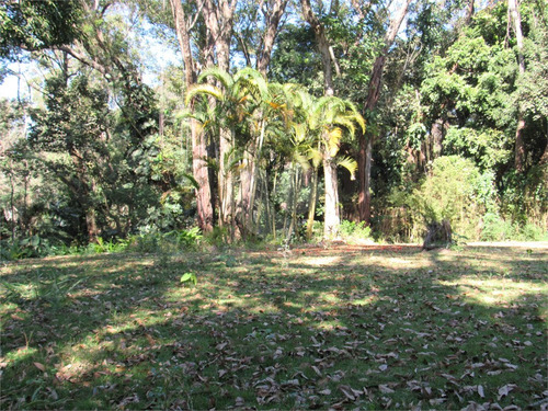 Imagem 13 de 21 de Terreno Dentro Da Chácara Flora - Reo507663