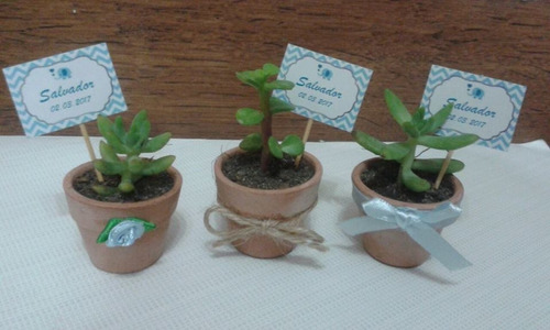 Recuerdos Suculentas Plantas Cactus Matrimonio Baby Shower