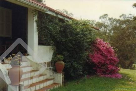 Imagem 5 de 14 de Terreno - Lami - Ref: 8182 - V-8182