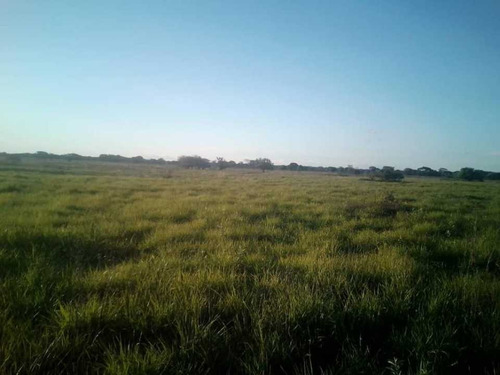 Imagen 18 de 26 de Finca En Venta ,calabozo Guarda Tinajas
