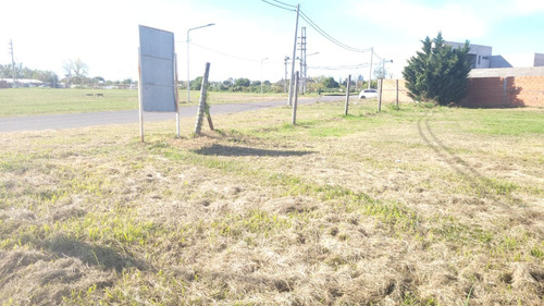 Lote 42 Esquina Los Cipreses