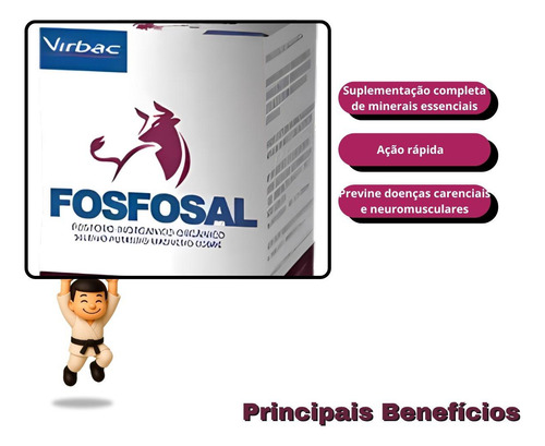 Kit Com 4 Virbac Fosfosal 100 Ml