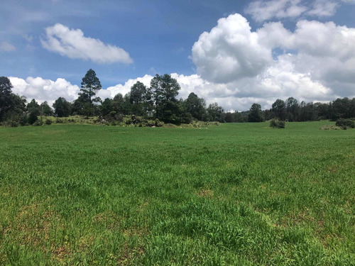 Imagen 13 de 13 de Gran Oportunidad Terreno Arenal Para Rancho