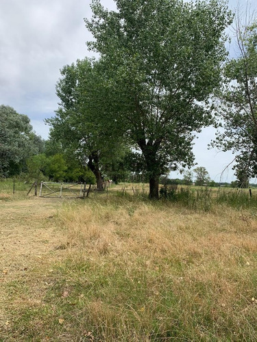 Imagen 10 de 30 de Hermoso Campo De 5 Hectáreas
