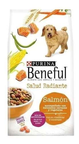 Alimento Para Perros Beneful Salud Radiante 10kg