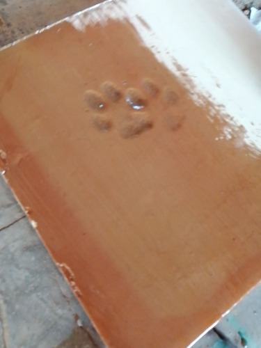 Imagen 2 de 3 de Loseta Piso Saltillo Barro Huellas Footprints Información