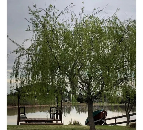 Lote Chacras Del Parana Club De Campo - Dueño Directo - Financia