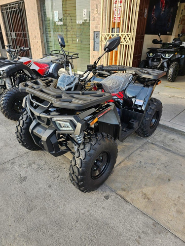 Imagen 4 de 19 de Cuatrimoto Dynamic 150 Automaticas Superfull 0 Klm 2023