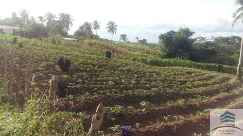 Granja A Venda São José De Pipibú