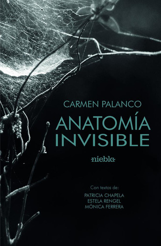 Libro Anatomã­a De Lo Invisible - Palanco, Carmen