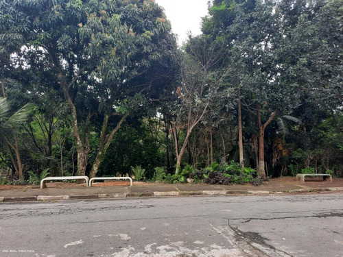 Imagem 1 de 4 de Terreno Para Venda Em Guarulhos, Jardim Do Triunfo - 1215_1-1946431