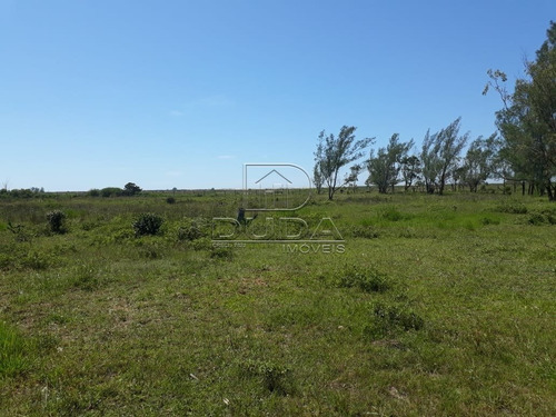 Imagem 1 de 3 de Area - Zona Sul - Ref: 28142 - V-28140