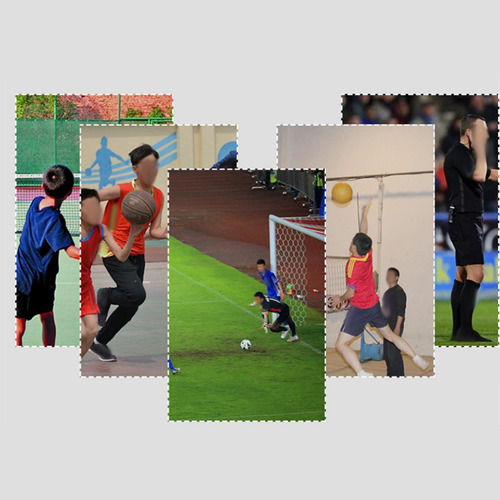 Wv 5 Kit De Silbatos Para Entrenar Aves Exóticas, 5 Piezas