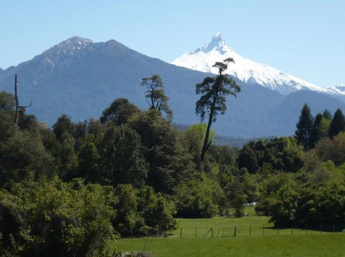 Terreno 10ha Lago Todos Los Santos