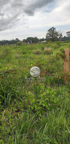 Imagem 7 de 10 de Venda Sítio Alto Paraíso Em Rondônia - Si314