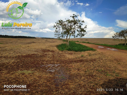 Imagem 1 de 9 de Fazenda À Venda Em Antonio João - Ms - De 818 Hectares (dupla Aptidão) - 1749