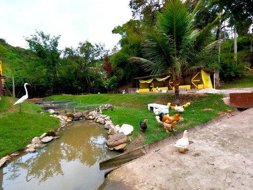 Imagem 1 de 18 de Chácara Com 3 Dormitórios À Venda, 1050 M² Por R$ 650.000,00 - Chácaras Copaco - Arujá/sp - Ch0006