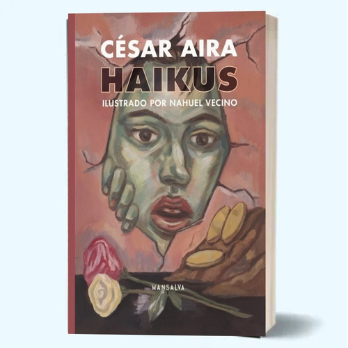 Haikus - César Aira